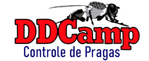 DDCAMP